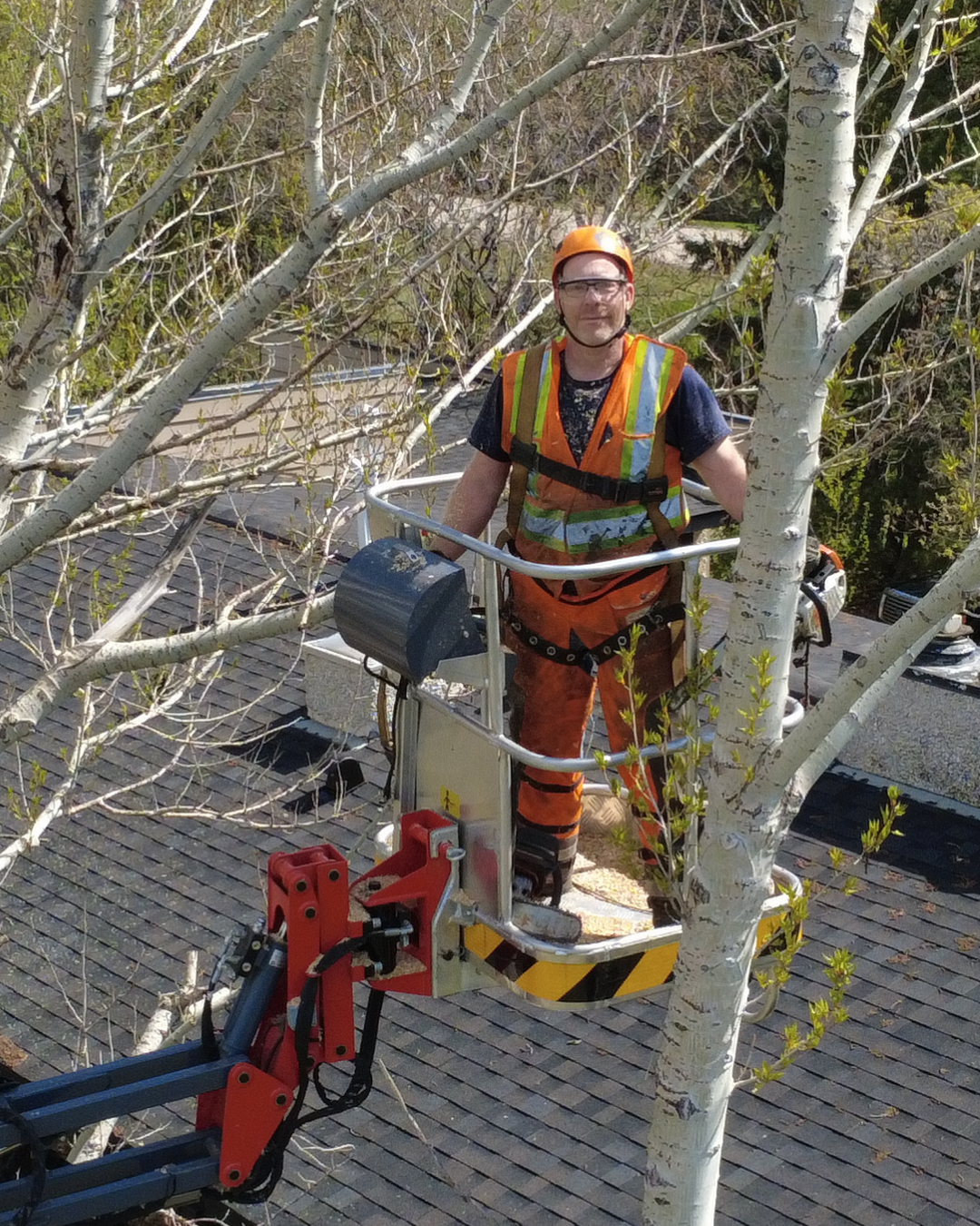 Daryl, founder of Hardy Bear Tree Service