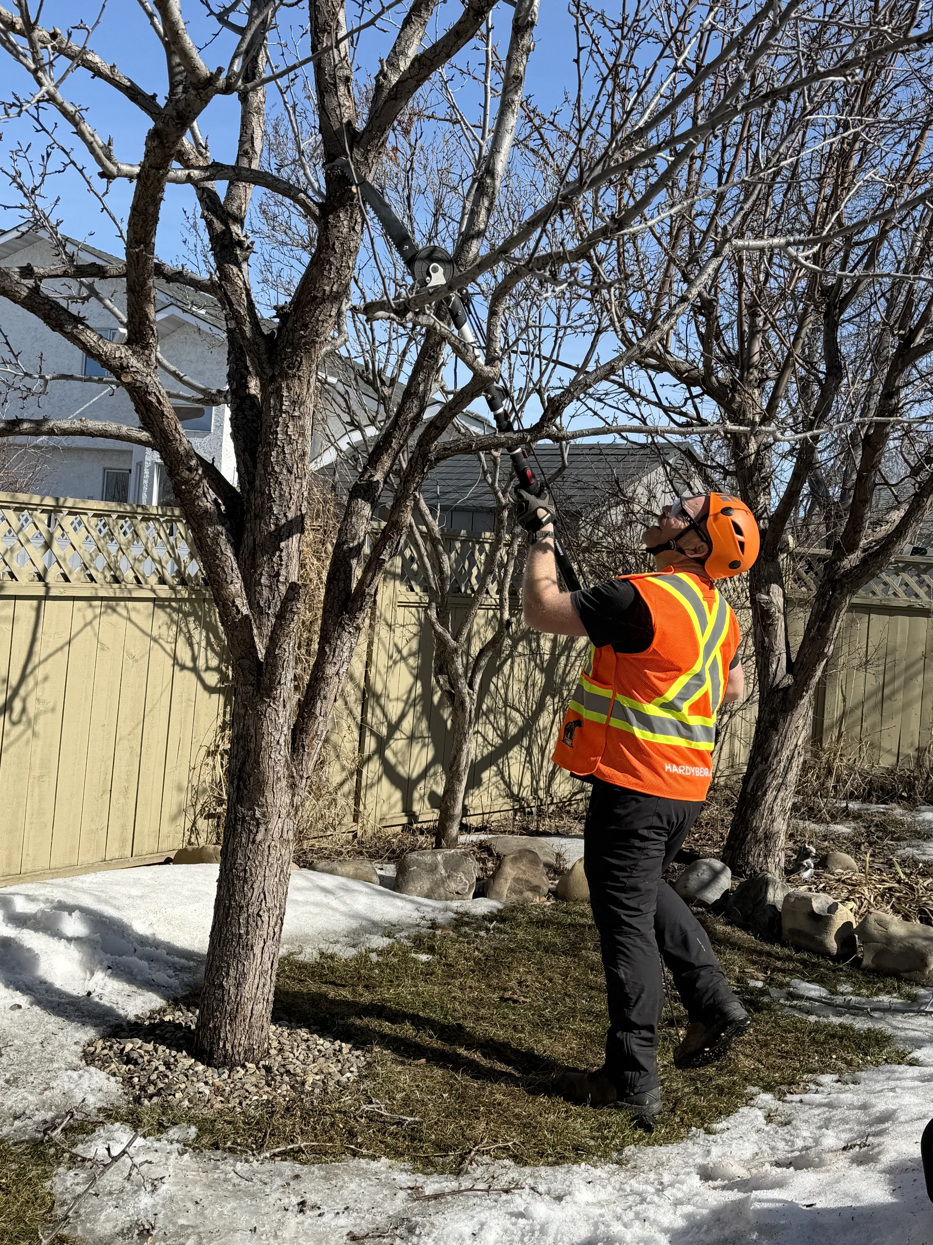 Pruning detail work