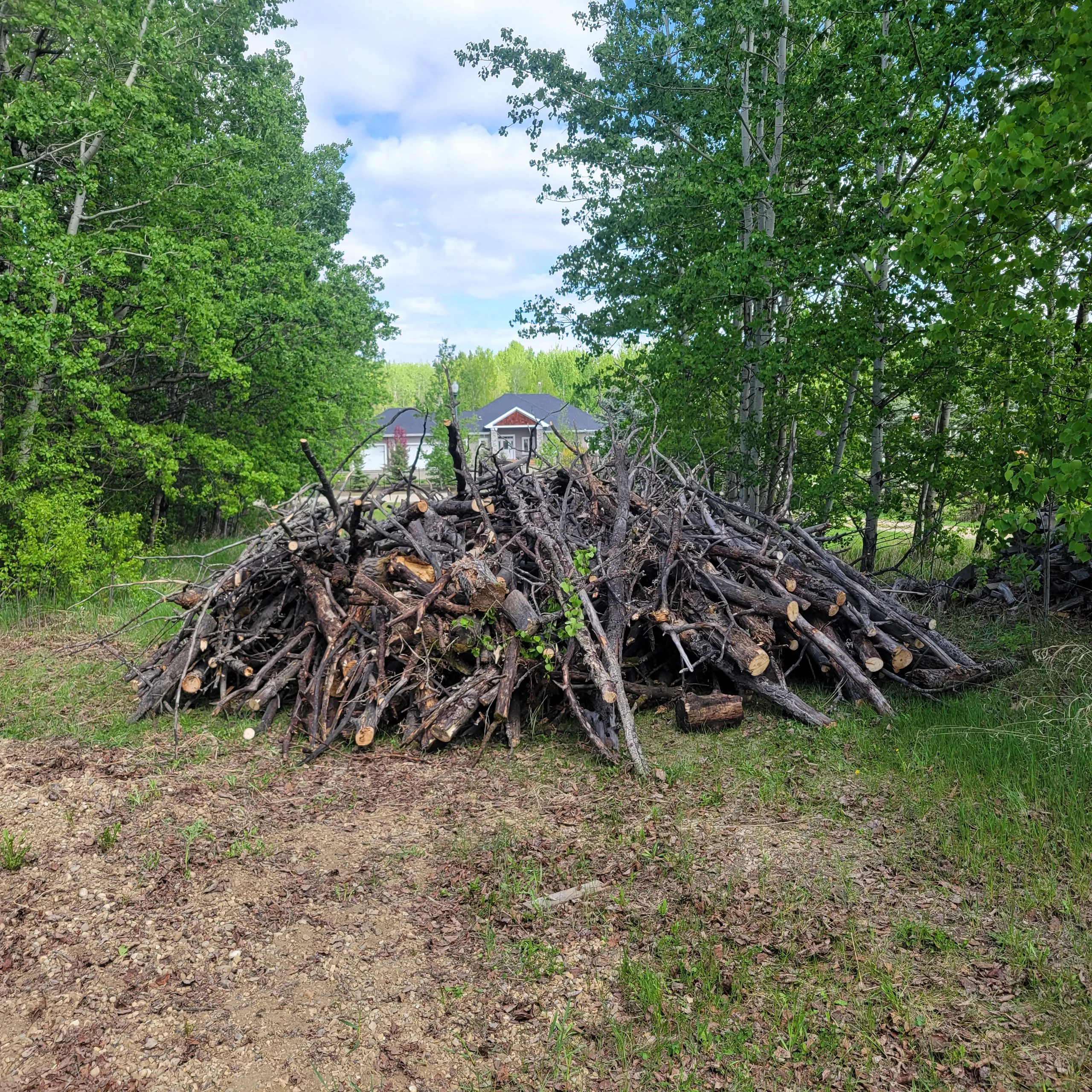 Wildfire Resilience Clearing